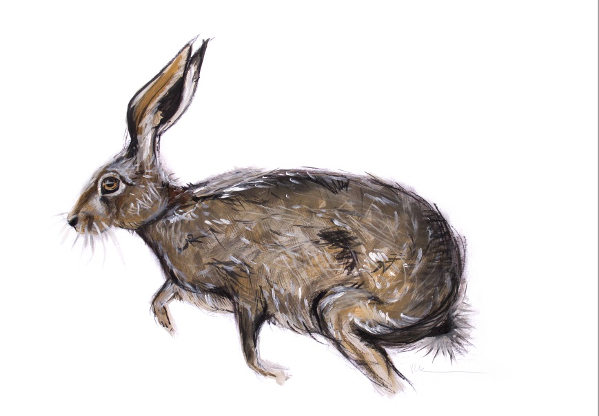 'Running Hare' by artist Rebecca Kelly